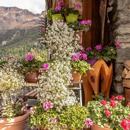 Hotel & Restaurant Perret - Mountain People Valgrisenche Exterior photo