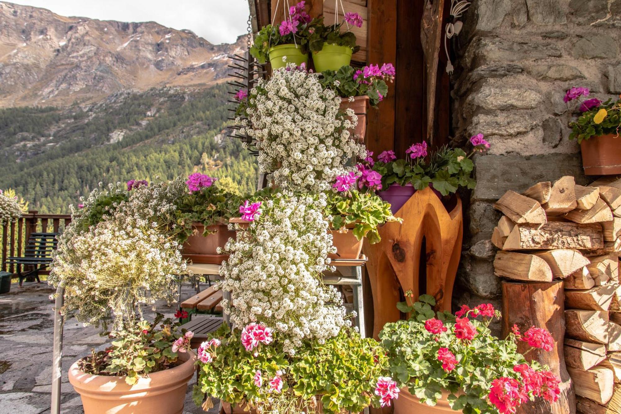 Hotel & Restaurant Perret - Mountain People Valgrisenche Exterior photo